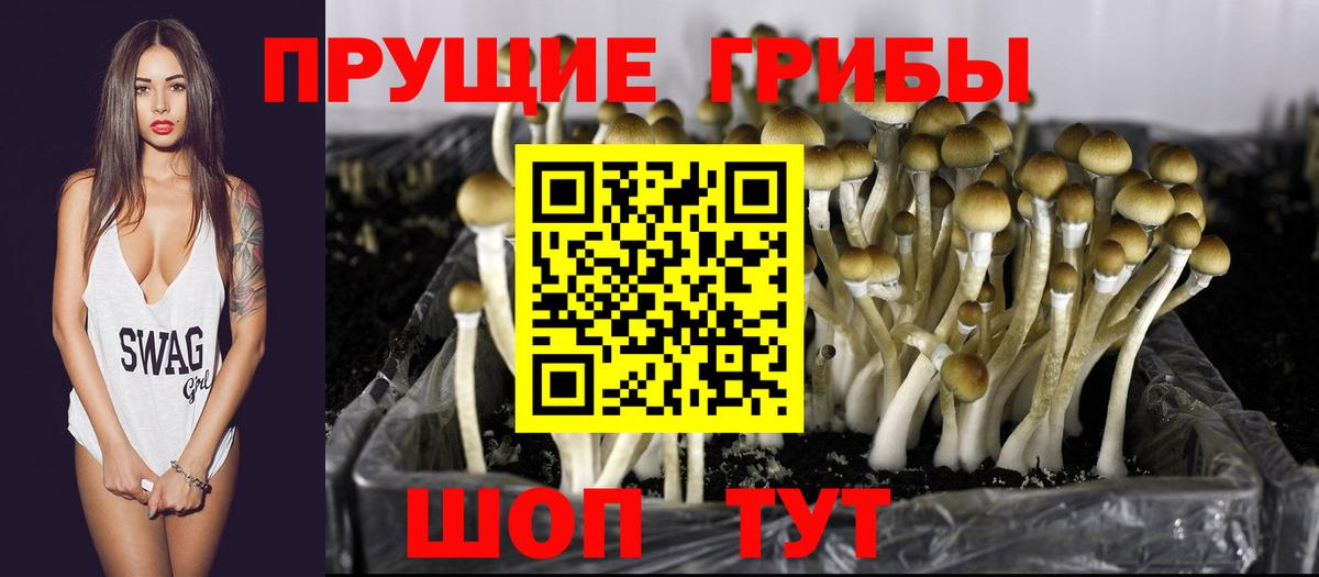 Псилоцибиновые грибы Magic Shrooms  где продают наркотики  Корсаков  Галлюциногенные грибы Psilocybe  Вход с VPN 